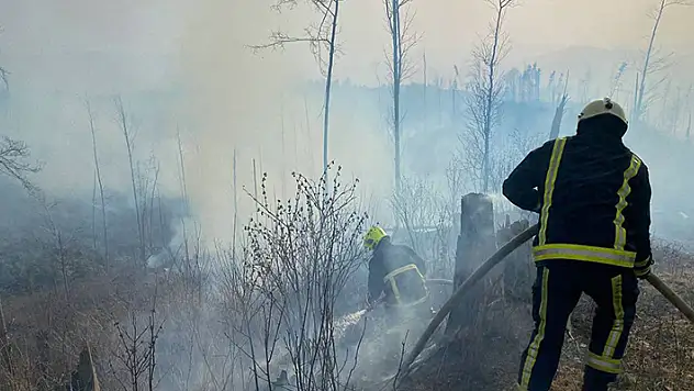 Ukrayna'da orman yangını: 5 kilometrelik alana yayıldı
