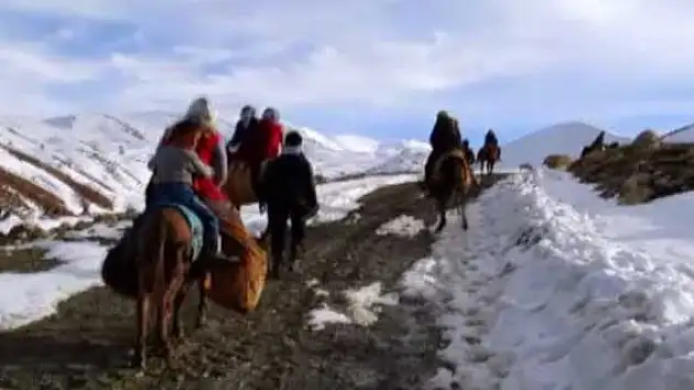 Ulaşımlarını at ve eşeklerle sağlıyorlar