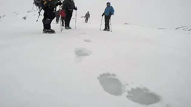 Uludağ'da şaşkına çeviren ayak izleri