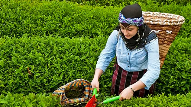 Ulusal Çay Konseyinin 13. Olağan Genel Kurul Toplantısına davet
