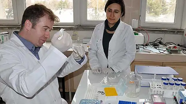 Üniversitelerde proje yazma seferberliği