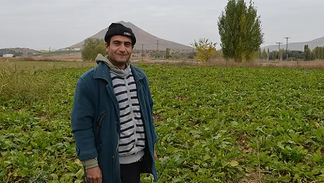 Üretici şeker pancarı alım fiyatından memnun