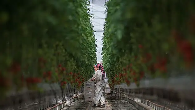 Üreticiye 'süper' teşvikler yolda