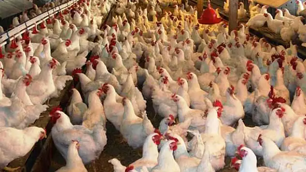 Üretimi kıstılar! Marketlerde bulamayabilirsiniz