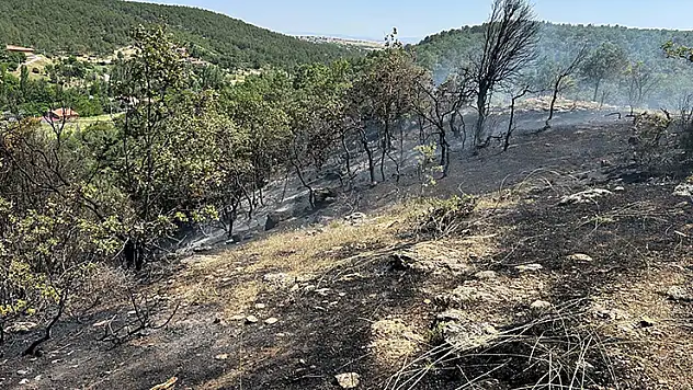 Uşak'ta meşelikte çıkan yangın, 3 saatte söndürüldü