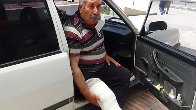 Üstüne inek düştü, sağ bacağı kırıldı