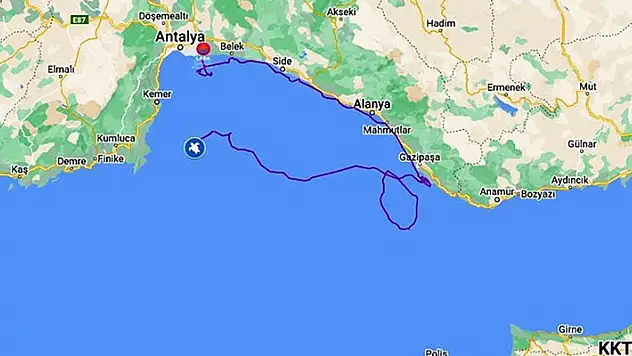Uydudan izlenen caretta caretta 'Lara', bir ayda 500 kilometre yol katetti
