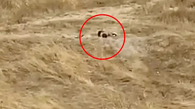 Uygunsuz hareketler sergileyen iki genç gözaltına alındı