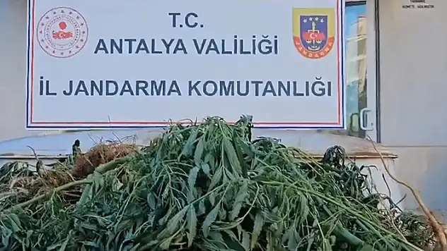 Uyuşturucu tacirlerine 'Narkoçelik-24' operasyonlarında, 28 tutuklama
