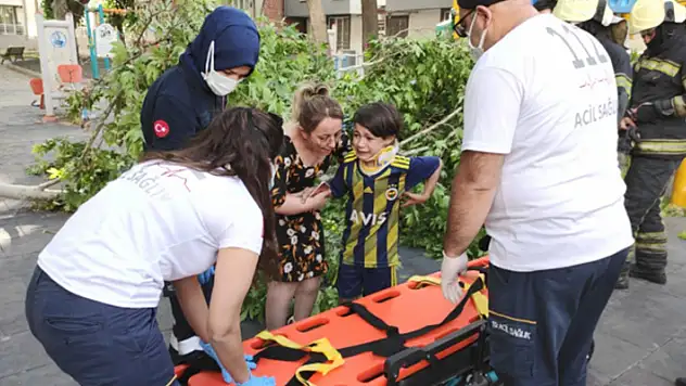 Üzerine ağaç devrildi, iğneden korktuğu için ambulansa binmedi
