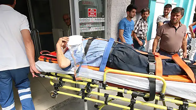 Üzüm asmasından düşen kişi yaralandı