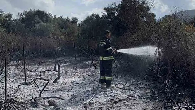 Üzüm bağları alevlere teslim oldu