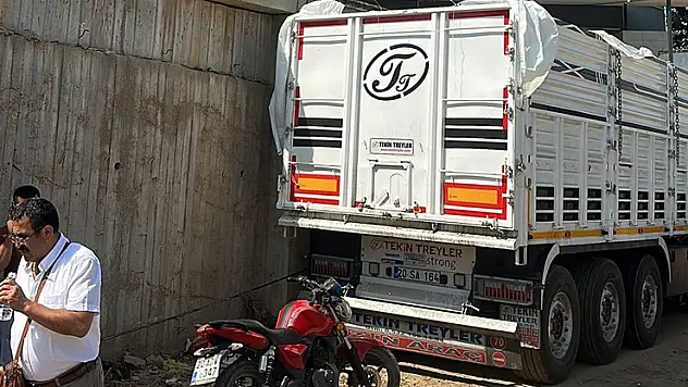 Üzüm yüklemeye geldi, yaşamını yitirdi