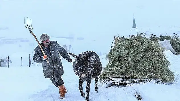 Uzun kış, besicileri zor durumda bıraktı