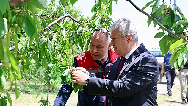 Vali Akın Akşehir'de zarar gören bölgeleri inceledi