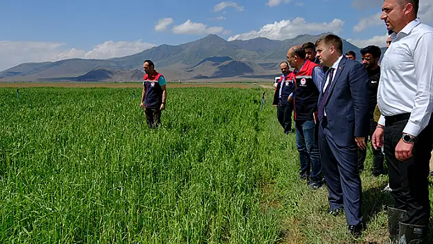 Vali Sarıibrahim, dolunun zarar verdiği arazilerde incelemelerde bulundu
