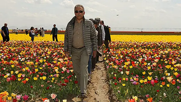 Vali Toprak, lale tarlasını ziyaret etti