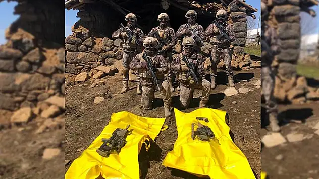 Van'da 1'i mavi kategoride yer alan 2 terörist etkisiz hale getirildi
