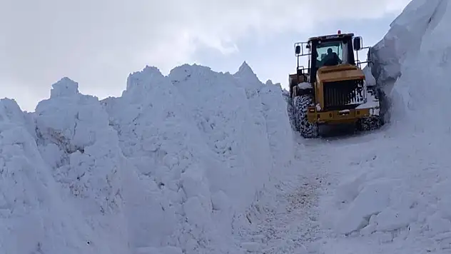 Van'da çığdan kapanan yol, yeniden ulaşıma açıldı
