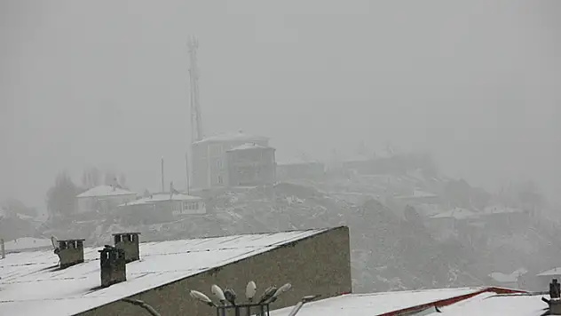 Van'da dolu yağışı etkili oldu

