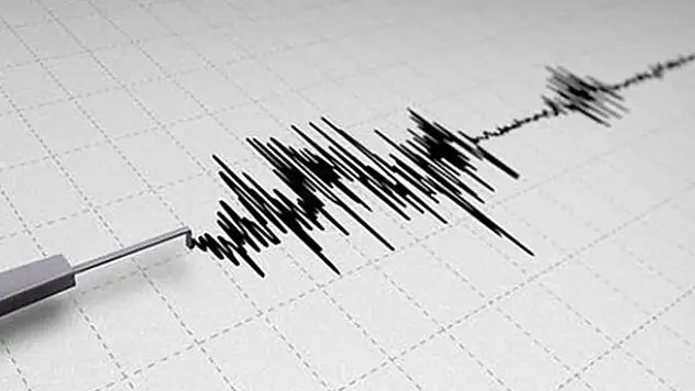 Van'da gece yarısı korkutan deprem