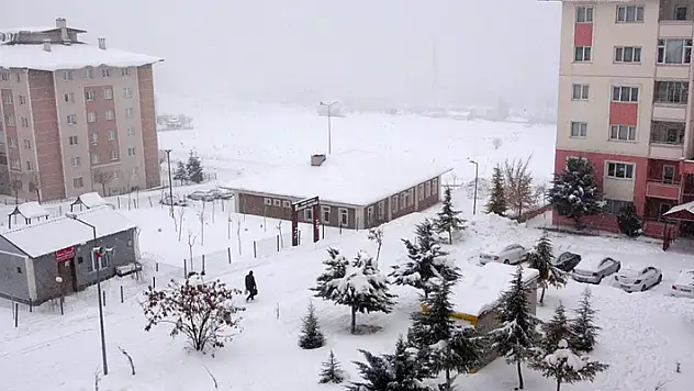 Van'da kar yağışı: 61 yol kapandı
