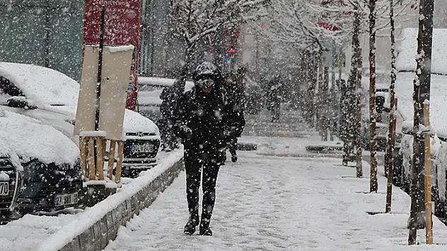 Van'da kardan kapanan 179 yerleşim yerinin yolu ulaşıma açıldı
