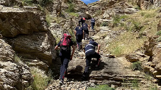 Van'da kayıp olarak aranan çoban arazide uyuyakalıp, yolu şaşırmış
