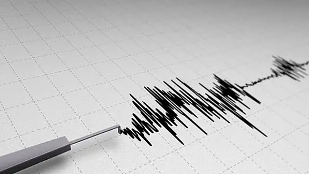 Van'da korkutan deprem!