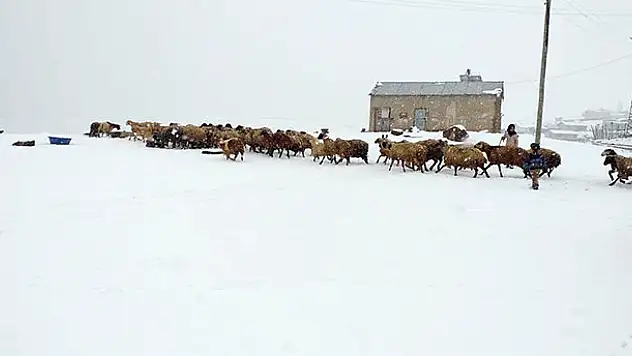 Van'da Nisan ayında kar sürprizi