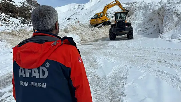 Van'da yetkililer çığ bölgesinde inceleme yaptı
