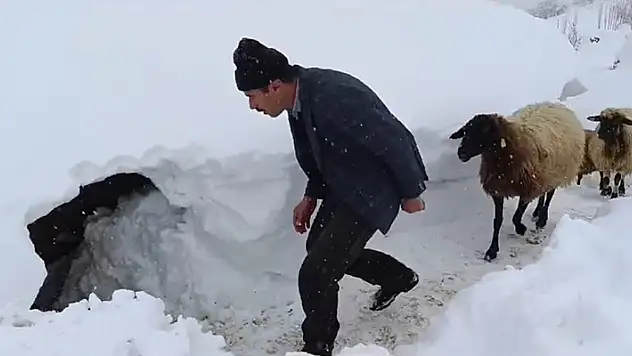 Van'ın yükseklerinde kar kalınlığı 1 metreyi aştı


