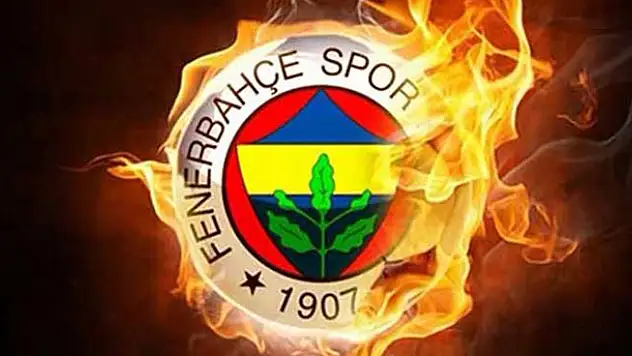 Van Persie Çin'e Ben Arfa Fenerbahçe'ye