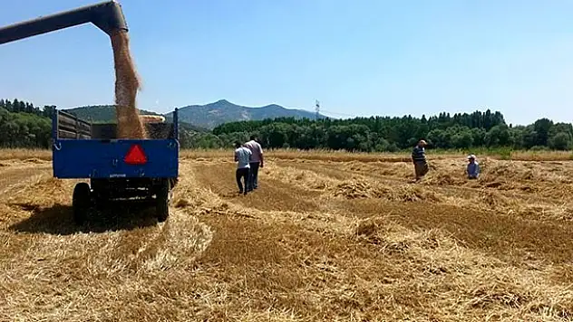 Verim kaybına karşı biçerdöverler denetleniyor