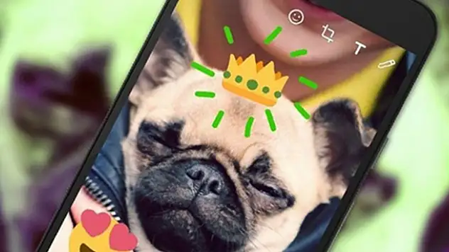 WhatsApp'a yeni ve çok önemli güncelleme! WhatsApp özellikleri