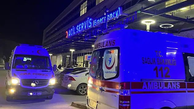 Yaban domuzu ortalığı savaş alanına çevirdi: 2 yaralı
