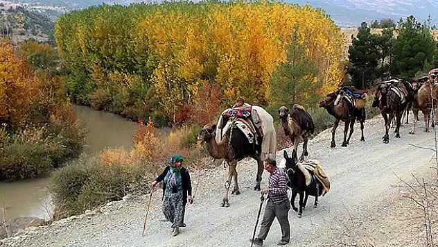 Yağışların azlığı Yörük göçünü etkiledi