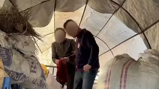 Yakalanmamak için çobanlık yaptı! Jandarmadan şok baskın

