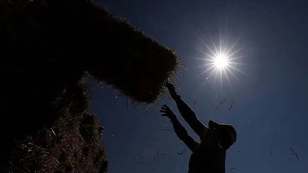 Yaklaşık 900 milyon çiftçi için sıcaklık stresi alarmı
