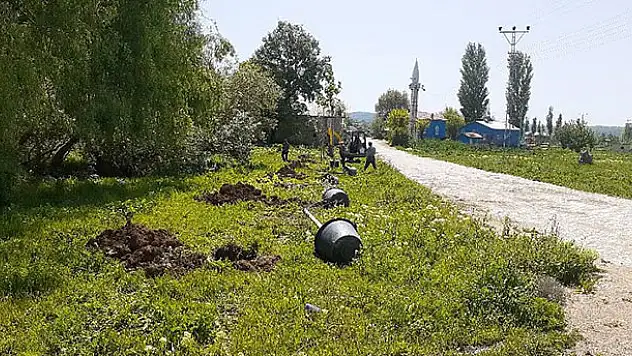 Yalıhüyük Belediyesi fidan dikim çalışmalarını sürdürüyor
