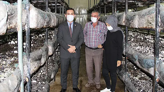 Yalıhüyük'e 2 mantar serası daha kuruluyor