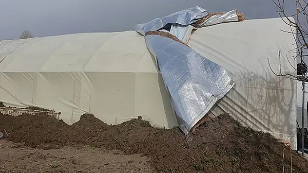 Yalıhüyük'te şiddetli rüzgar mantar seralarına zarar verdi
