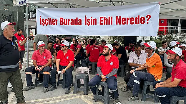 Yalova Belediyesi'nde sözleşmesi feshedilen 86 işçi, 6 gün süren eylemin ardından işe geri alındı
