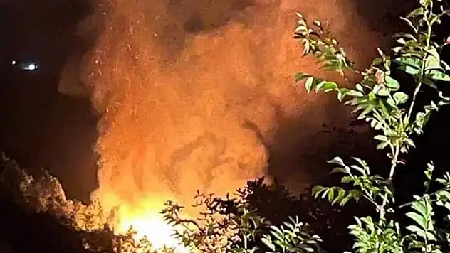 Yalova'da çıkan orman yangını 3 saatte söndürüldü: 2 gözaltı
