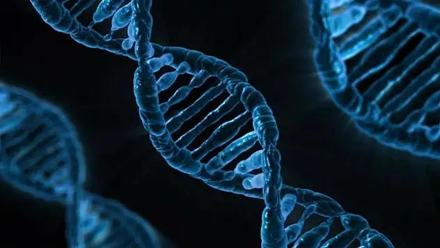 Yapay zeka modeli 'AlphaGenome' yardımıyla DNA'nın bilinmeyenlerinin keşfedilmesi öngörülüyor