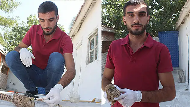 Yaralı atmacaya vatandaş sahip çıktı
