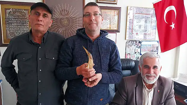 Yaralı balaban kuşu koruma altına alındı