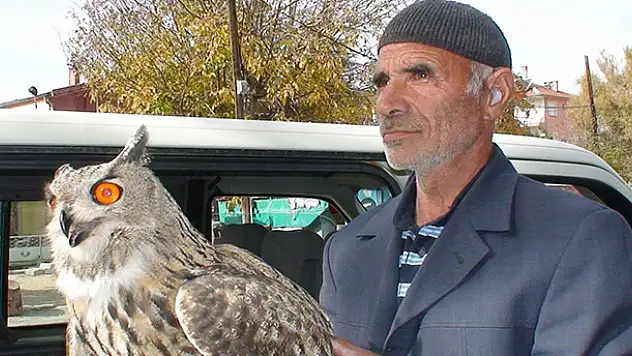 Yaralı 'puhu' kuşuna vatandaşlar sahip çıktı