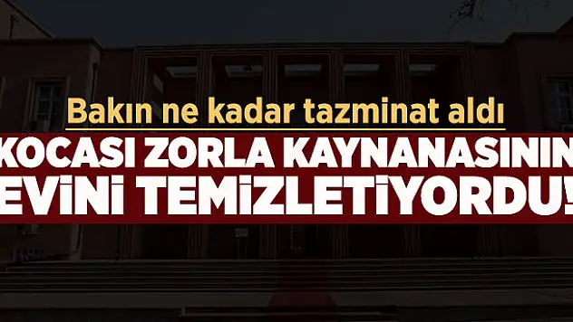 Yargıtay'dan flaş kaynana kararı! Zorla çalıştırılan gelin 8 bin lira tazminat aldı