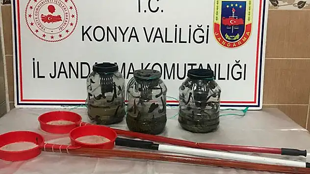 Yasadışı sülük avlayan 3 kişiye 221 bin 241 lira ceza kesildi